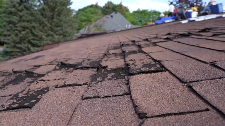 Best Hot Roofs  in La Grange Park, IL