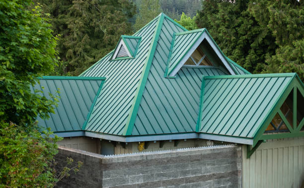 Best Roof Moss and Algae Removal  in La Grange Park, IL