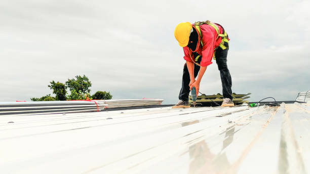 Best Flat Roofing  in La Grange Park, IL