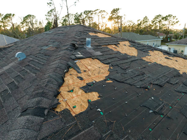 Best Solar Panel Roofing Installation  in La Grange Park, IL