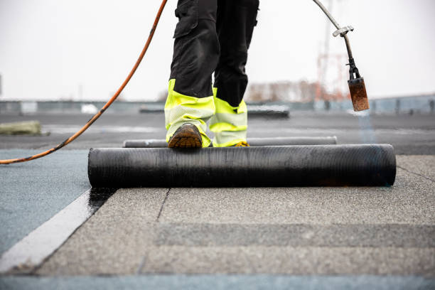 Best Roof Coating and Sealing  in La Grange Park, IL